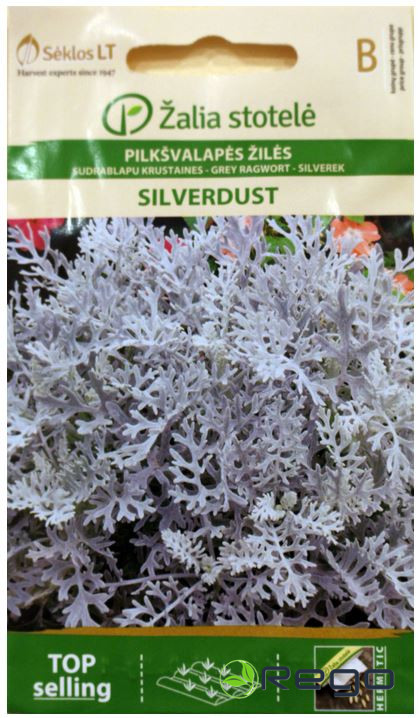 Silverdust-1.jpg Silverdust-1.jpg