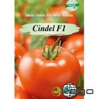cindelf1