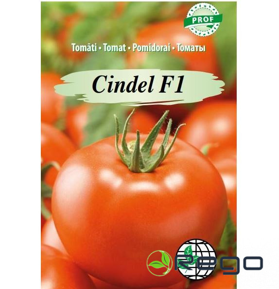 cindelf1 cindelf1