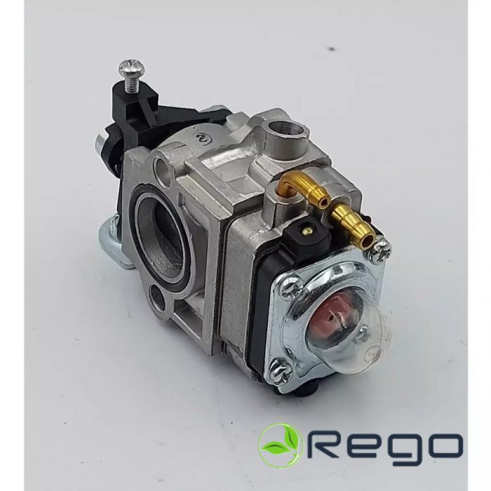 XDED8809.S24.jpg